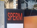 Sperm Disco Pub