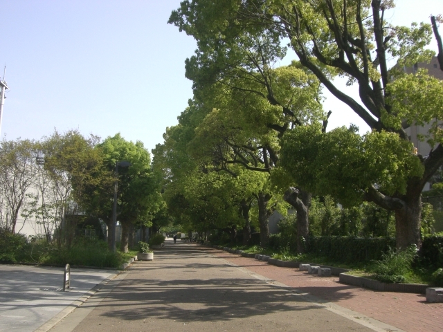 真田山公園