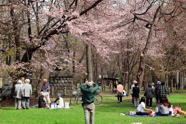 神楽岡公園