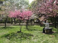 八戸ノ里公園