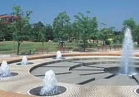 白水大池公園