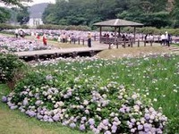 池田池公園