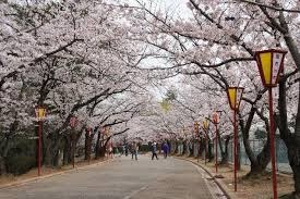 日岡山公園