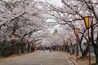 日岡山公園