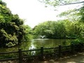 和田堀公園