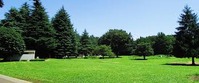 光が丘公園