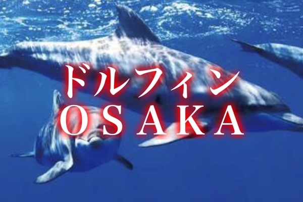 大阪梅田中崎ゲイマッサージ DOLPHIN OSAKA