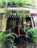 Tree Cafe
