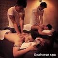 Seahourse Spa