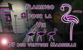 Le Flamingo Pink