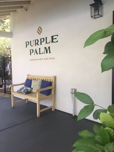 Purple Palm