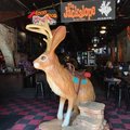 The Jackalope