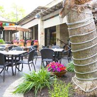 Paloma Blanca Mexican Cui...