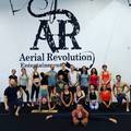 Aerial Revolution