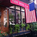 The Red Cat