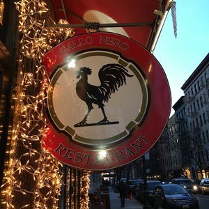 Gallo Nero Wine Bar & Grill