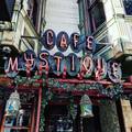 Cafe Mystique