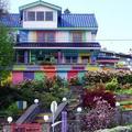 Rainbow House B&B