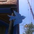 Blue Bird Bistro