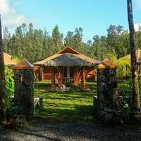 Volcano Men's Retrea...