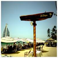 La Palapa