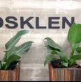 Osklen - Headoffice