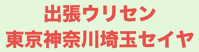 出張ウリセン東京神奈川埼玉セイヤ