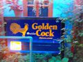 Golden cock