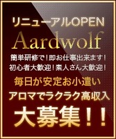Aardwolfの写真