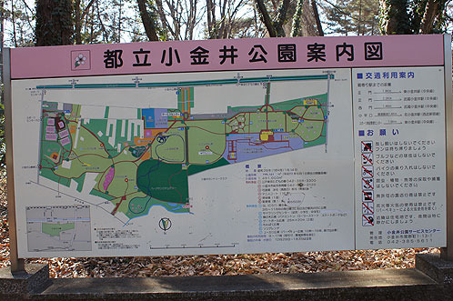 小金井公園