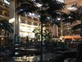 Embassy Suites Phoenix - Biltmore