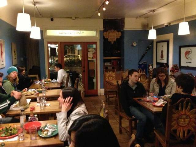 The Little Chihuahua