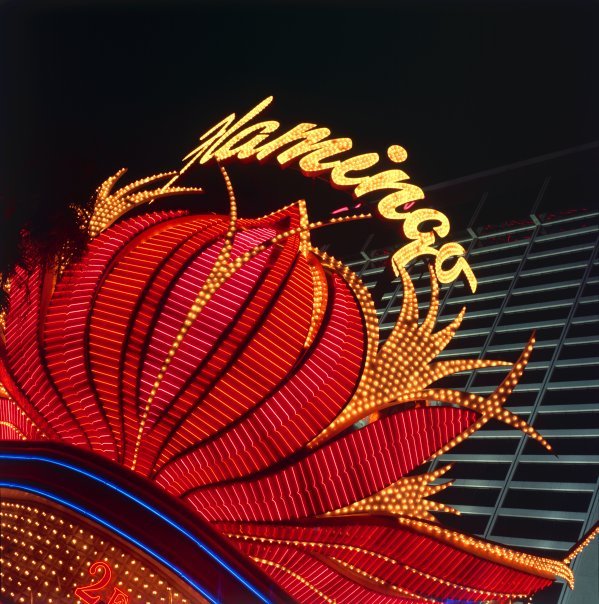 Flamingo Las Vegas