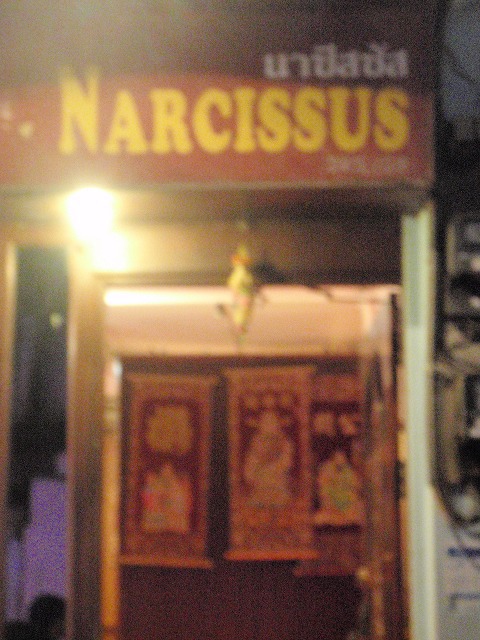 NARCISSUS