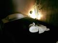 Fyn Massage