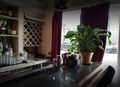 The Rosemont