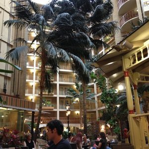 Embassy Suites Hotel - Austin Central