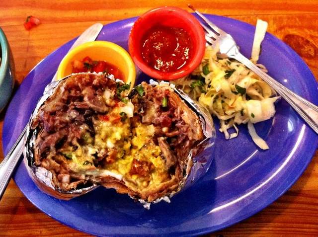 The Little Chihuahua