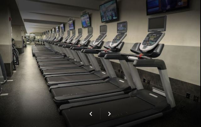 Complete Body - Financial District