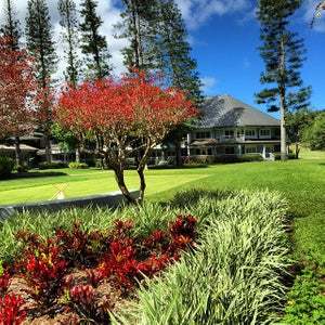 Four Seasons Lanai: The Lodge at Koele