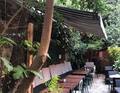 Botànic Bar Cafe