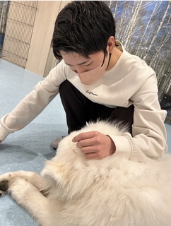 新宿もみ男子！の写真