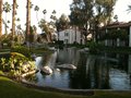 Rancho Las Palmas Hotel