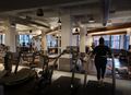 Equinox Dumbo