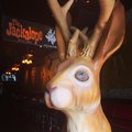 The Jackalope