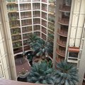 Embassy Suites Hotel - Austin Central