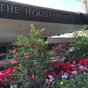 Houstonian Hotel