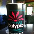 The Calypso Cafe