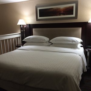 Sheraton Salt Lake City Hotel