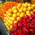 Reading Terminal Market